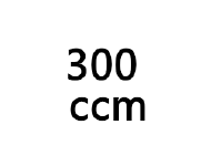 Mondial 300ccm